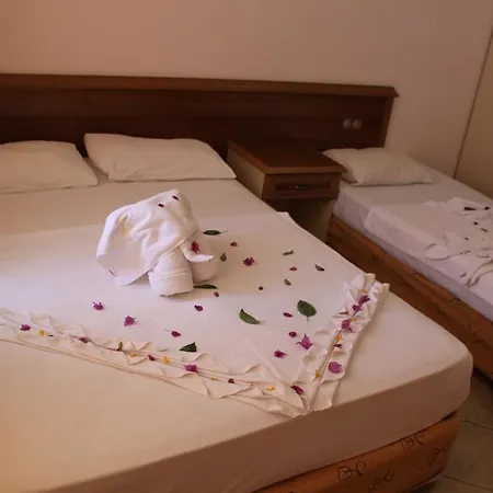 Hotel Xeno Sonas Alpina 4*