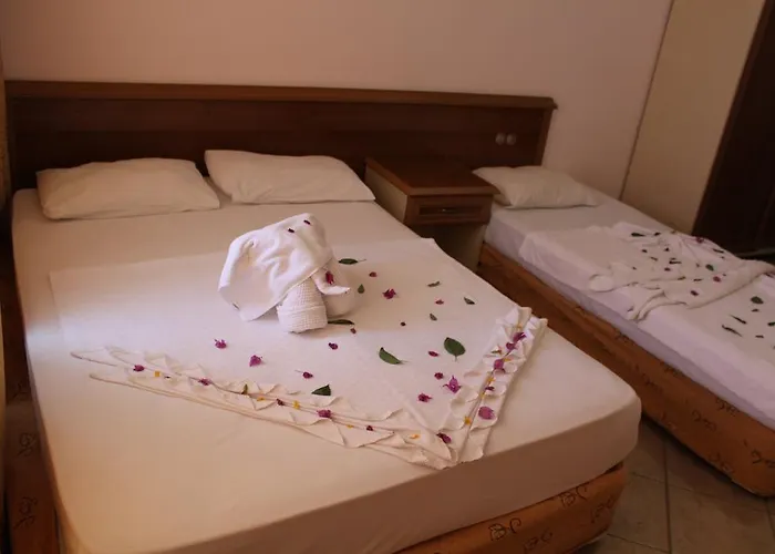 Hotel Xeno Sonas Alpina 4*